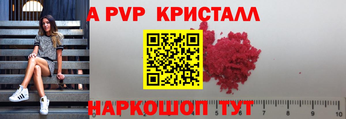 Alfa_PVP СК Гагарин